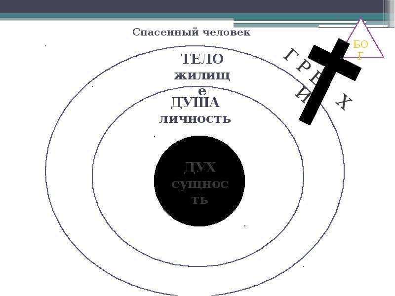 Схема жизни. Философия жизни схема. Схема жизни Фомы Петухова.