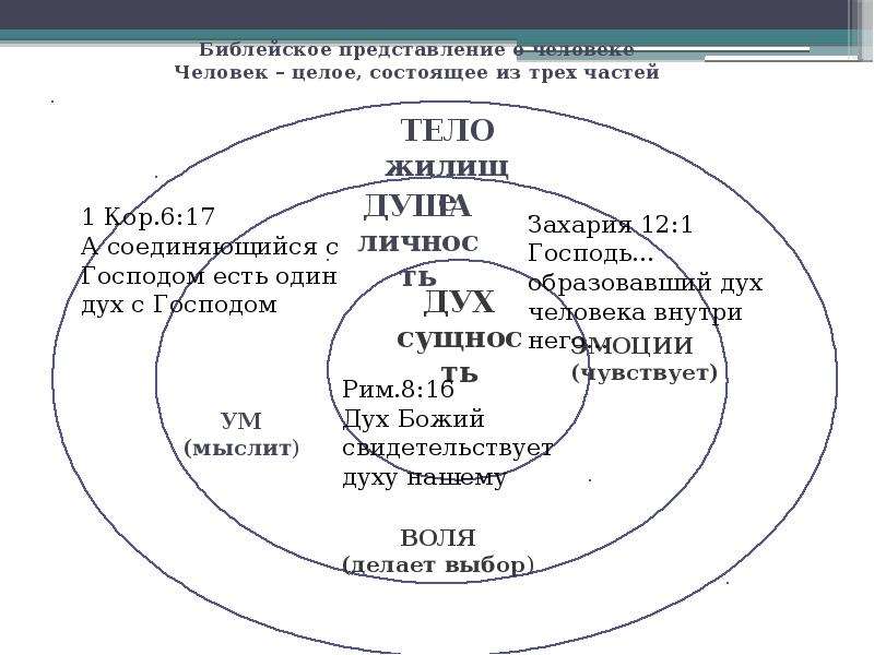 Целое состоящее из. Представление о жизни схема. Схема жизнь первых людей Петербурга 7 класс.