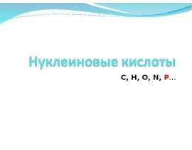 Нуклеиновые кислоты