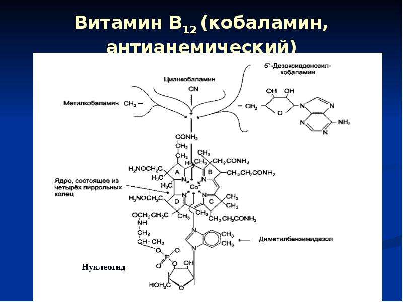 Коферментная функция витаминов группы в схема