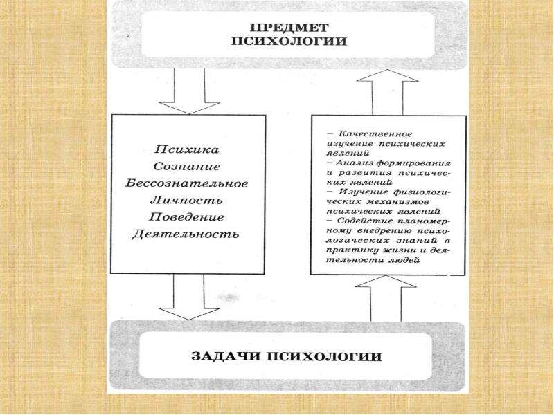 Предмет и задачи психологии развития презентация