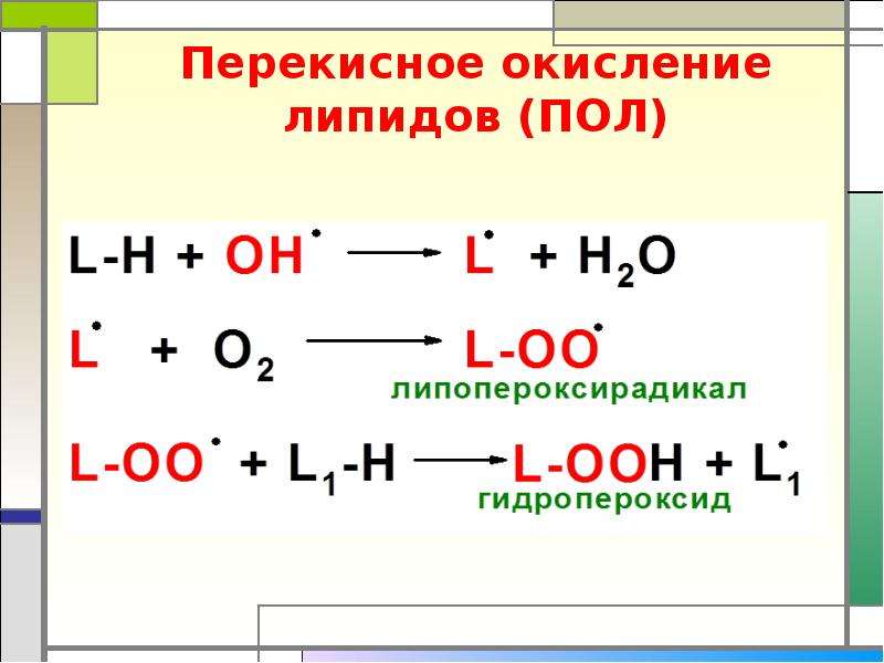 Последствия перекисного окисления липидов. Схема перекисного окисления липидов биохимия. Пол перекисное окисление липидов биохимия это. Перекисное окисление липидов схема. Перекисное окисление липидов биохимия.