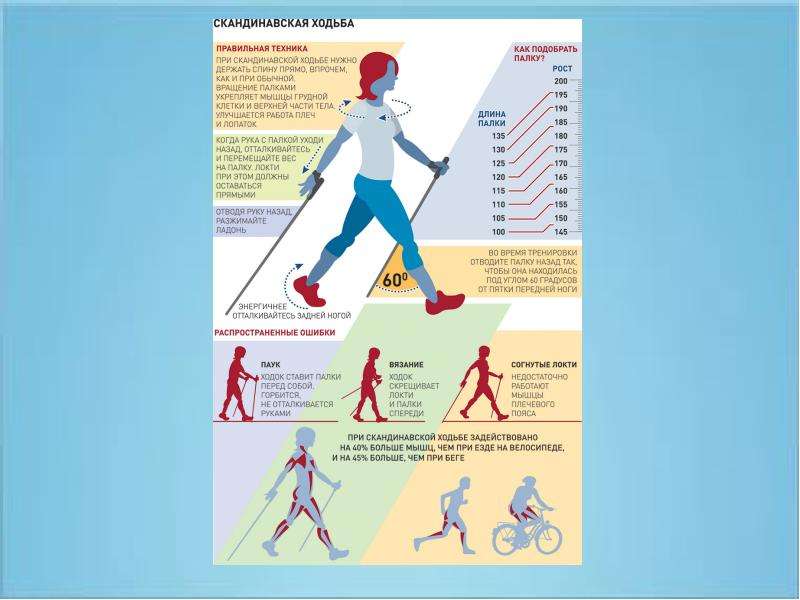 Скандинавская ходьба план конспект
