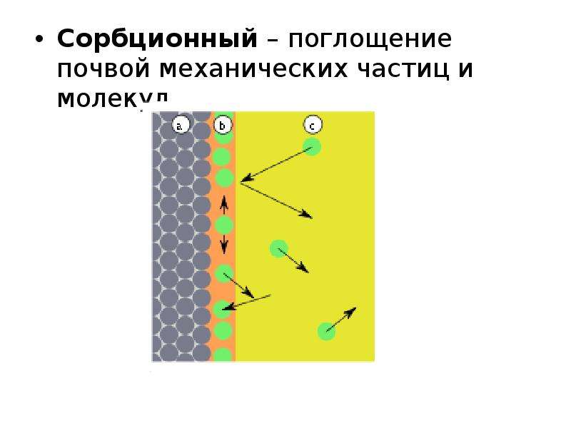 Поглощение частиц. Механическое поглощение это. Механическое поглощение почвой. Сорбционные процессы в почвах. Химическое поглощение почвы.