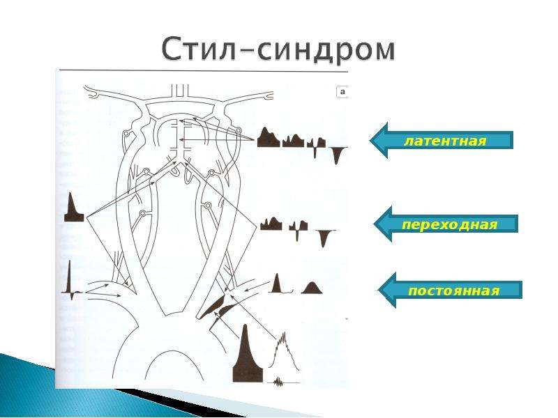 Презентации к исследованию сосудов