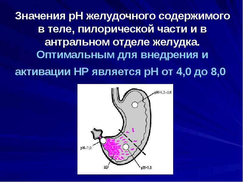Значения рН желудочного содержимого в теле, пилорической части и в антральном отделе желудка. Оптима