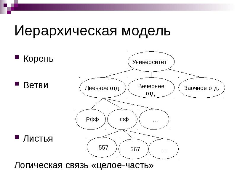 Логические связи. Иерархическая модель данных схема. Таблица иерархии. Иерархическая модель школы. Иерархическая ветвь.