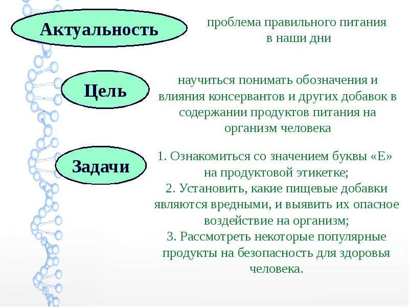 Влияние пищевых добавок на здоровье человека проект 9 класс