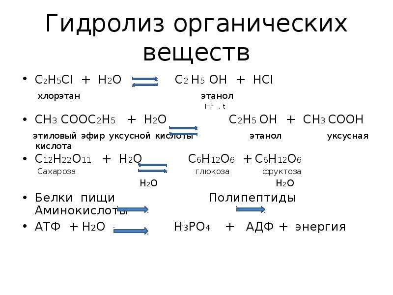 Приведите схему гидролиза белка