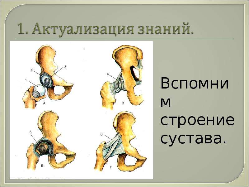 Презентация первая помощь при травмах растяжении связок вывихах суставов переломах костей 8 класс