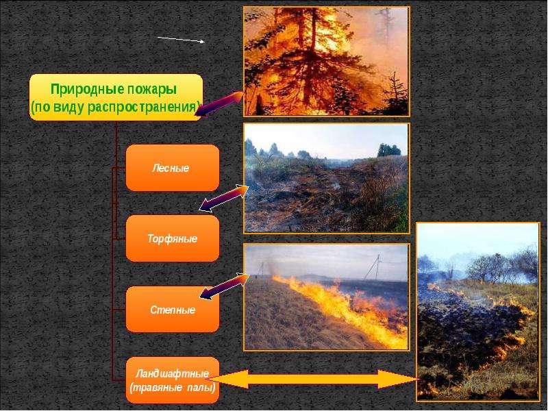 Типы пожаров. Лесные, степные, торфяные, подземные пожары. Пожары верховые низовые торфяные. Схема классификации природных пожаров. Природные пожары Лесные степные торфяные.