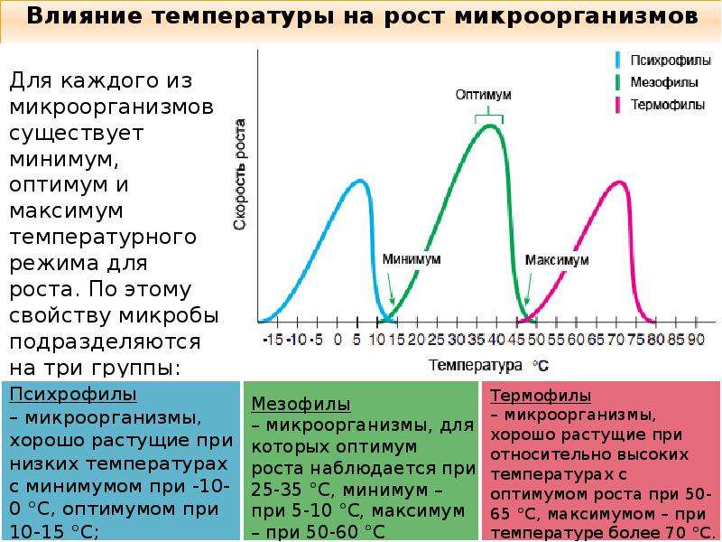 Минимум и максимум температуры