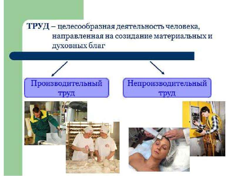 Проект труд основа жизни 6 класс