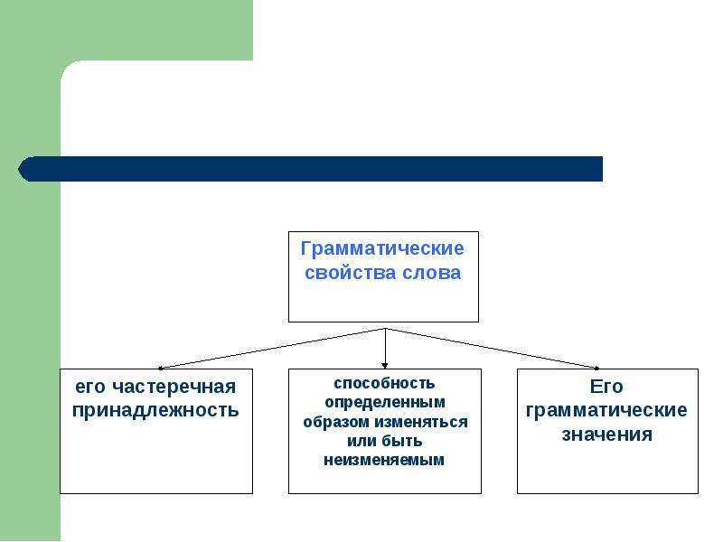 Сочинение по теме Морфология как раздел грамматики