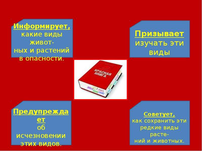 Красная книга презентация