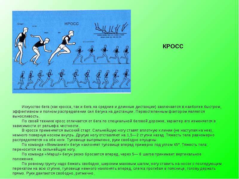 Описание техники. Техника кроссового бега. Техника кросса. В беге на средние и длинные дистанции стопа ставится на грунт. Легкая атлетика кросс доклад.