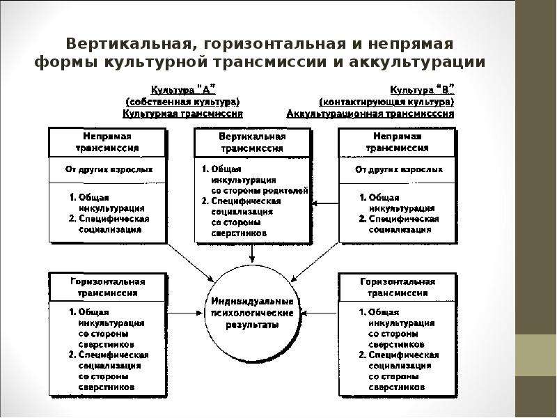 Культурная трансмиссия