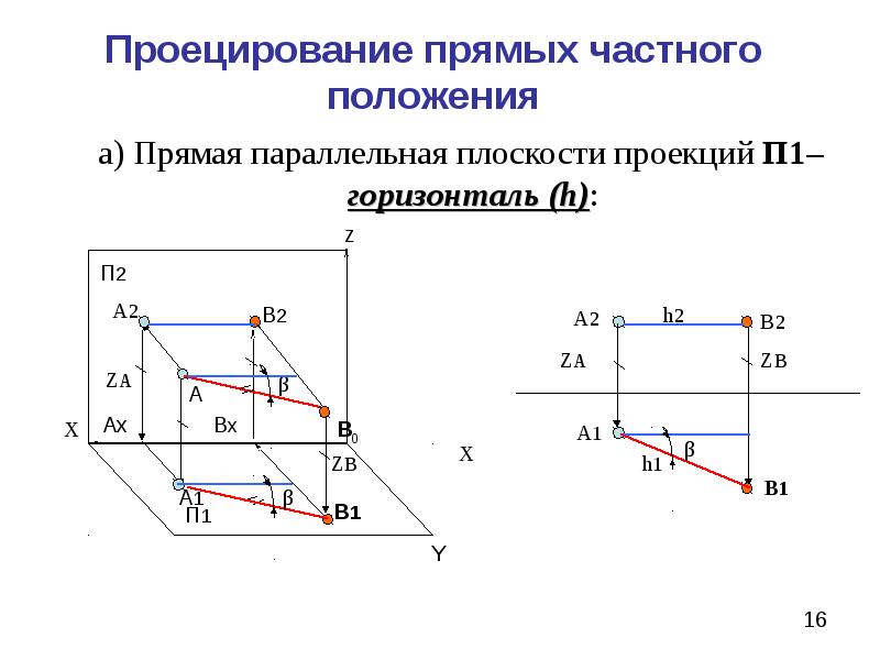 Прямые частного. Проецирование прямой частного положения. Прямые частного положения Начертательная геометрия. Прямые общего и частного положения Начертательная геометрия. Прямая частного положения в начертательной геометрии.