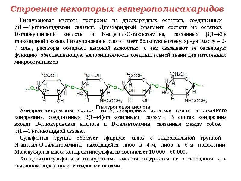 Строение некоторые. Строение фрагмента гиалуроновой кислоты. Формула дисахаридного фрагмента гиалуроновой кислоты. Гетерополисахариды из глюкуроновой кислоты.