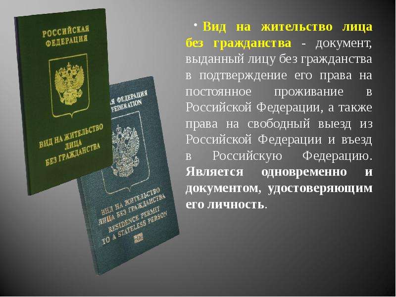 Гражданство после внж 2024. Вид на жительство лица без гражданства. Вид на жительство в России для ЛБГ. Вид на жительство ЛБГ что это.