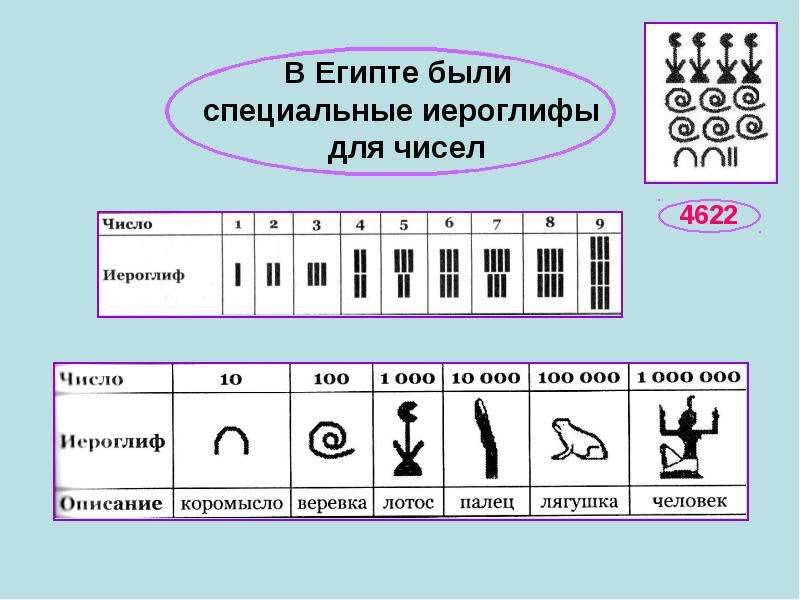 Перед тобой иероглифы для изображения чисел первая строчка и примеры изображения учи ру 6 класс