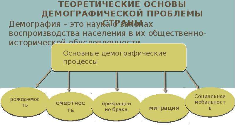 Основы демографии