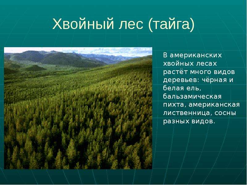 Особенности природы северной америки 7 класс презентация