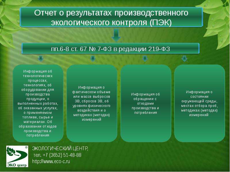 Программа экологического мониторинга образец