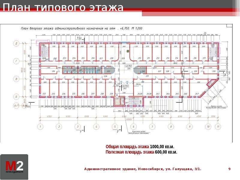 План типового этажа это