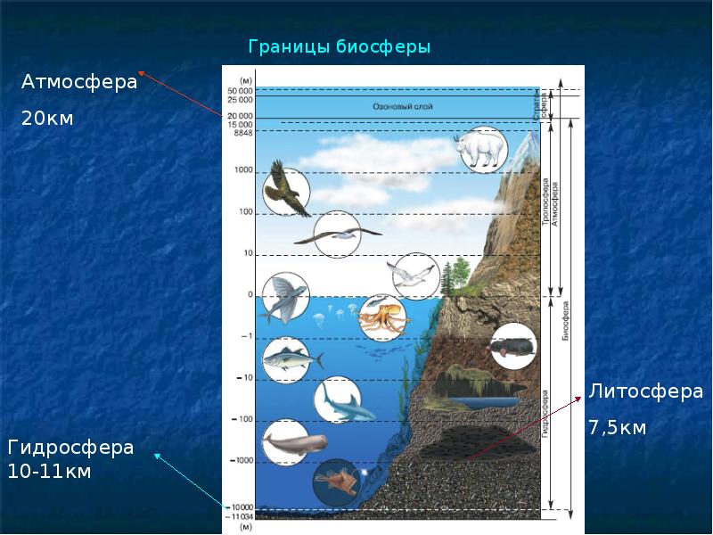 Рисунок атмосферы 6 класс география