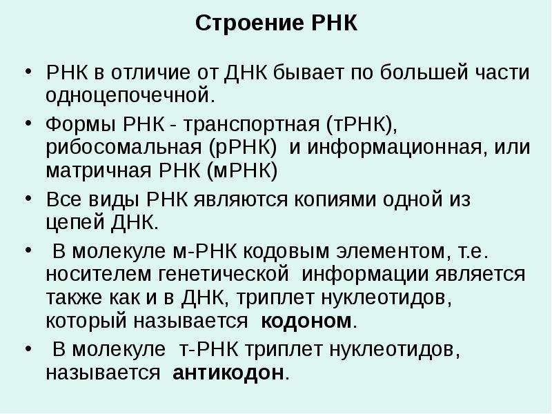 Форма рнк какая