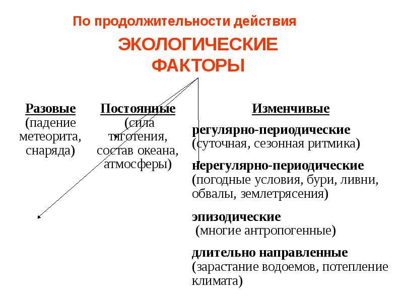 Какие экологические факторы. Экологические факторы.