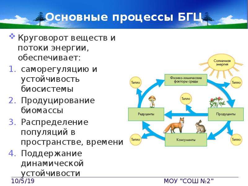 Схема круговорота веществ в экосистеме