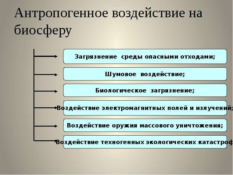 Презентация антропогенное воздействие