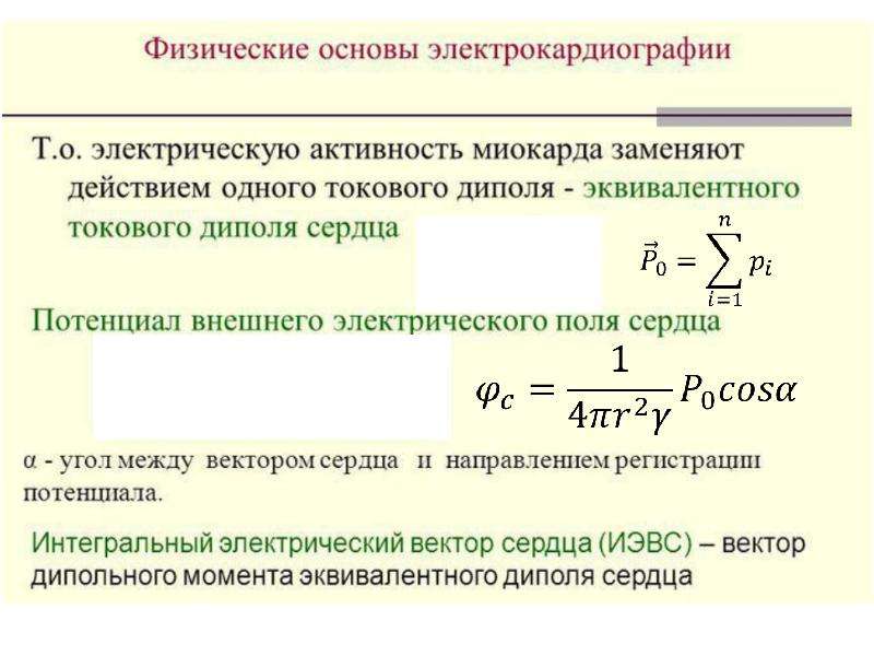 Электрография экг один из важных методов исследования. Электрография основы. Электрография. Прямая и Обратная задачи электрографии.. Биофизические основы электрографии. Вектор электрографии.