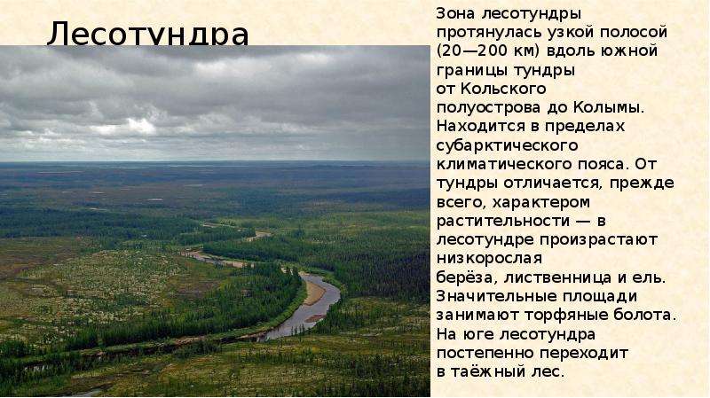 Климат лесотундры кратко. Климатический пояс тундры и лесотундры в России. Климат зоны лесотундры в России. Лесотундра климатический пояс. Лесотундра характеристика природной зоны.