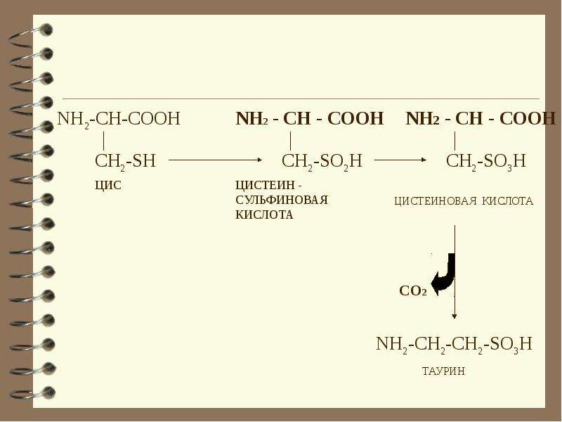 Ch3 ch2 nh2 класс