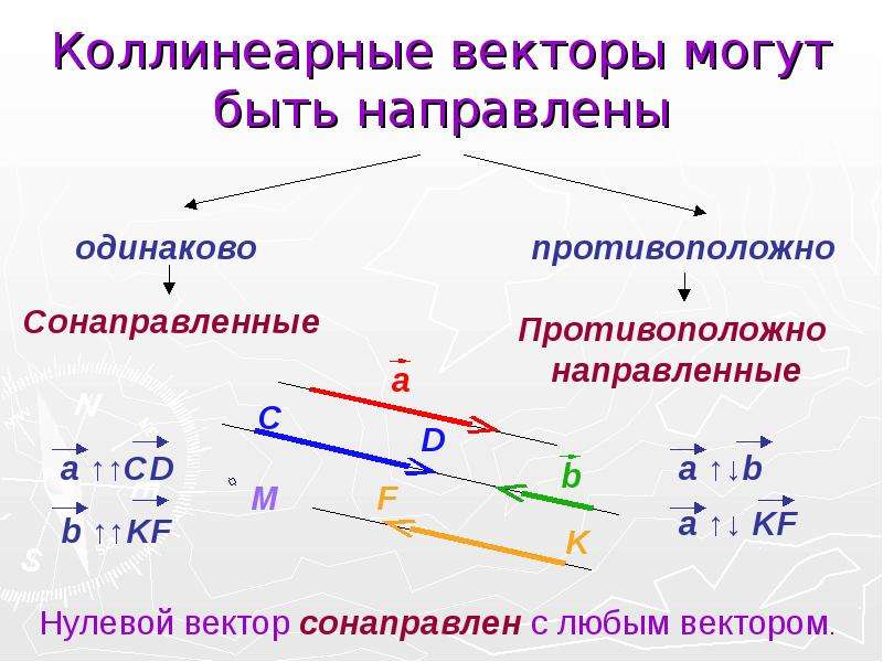 Векторы коллинеарны если. Понятие векторов коллинеарные сонаправленные. Коллинеарные векторы в пространстве. Коллинеарные векторы и неколлинеарные векторы. Коллинеарные векторы сонаправленные и противоположно направленные.