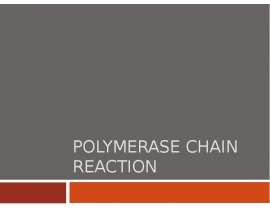 Polymerase chain reaction