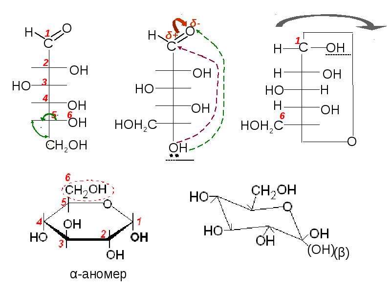 Схема таутомерных превращений d маннозы в растворе