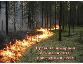 Правила пожарной безопасности и поведения в лесах