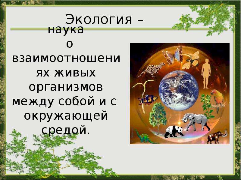 Взаимодействие организма и среды. Взаимосвязи живых организмов с окружающей средой. Живые организмы и окружающая среда. Отношения между организмами и окружающей средой. Наука о взаимоотношениях живых организмов.