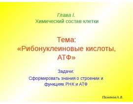 Химический состав клетки. Рибонуклеиновые кислоты, АТФ