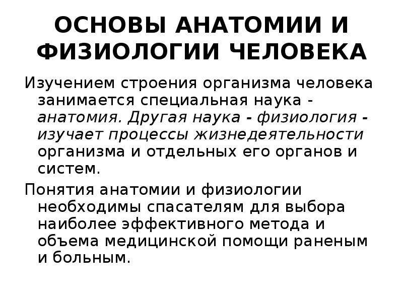 Основы анатомии и физиологии человека презентация