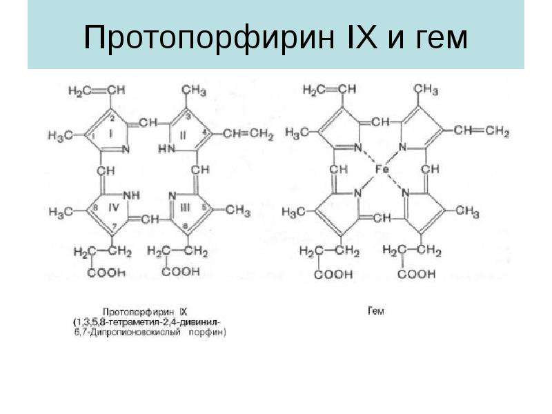Протопорфирин IX и гем