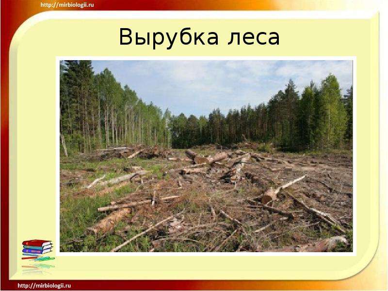 Влияние человека на лес. К чему приводит появление в лесу множество тропинок. Положительное влияние человека на окружающий мир вырубка леса. Рубка леса толстой. К каким последствиям приводит появление в лесу множества тропинок.