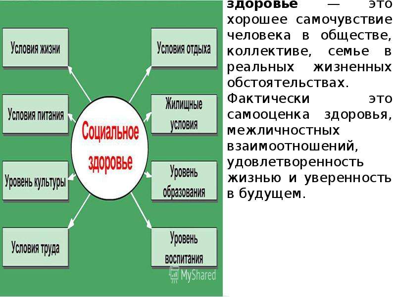 Здоровье человека здоровье населения