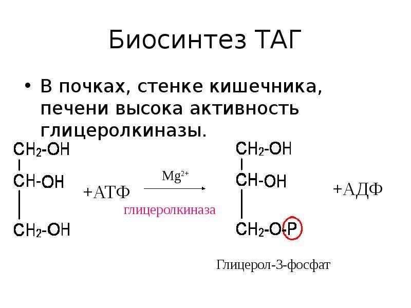 Синтез таг схема