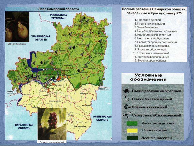 Какие водные объекты находятся в самарской области. Карта лесов Самарской области. Карта лесов Самарской области подробная. Географическая карта Самарской области. Северо Запад Самарской области.