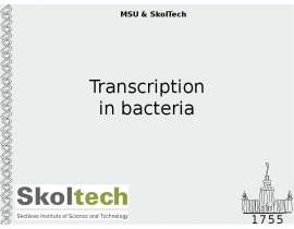 Transcription in bacteria